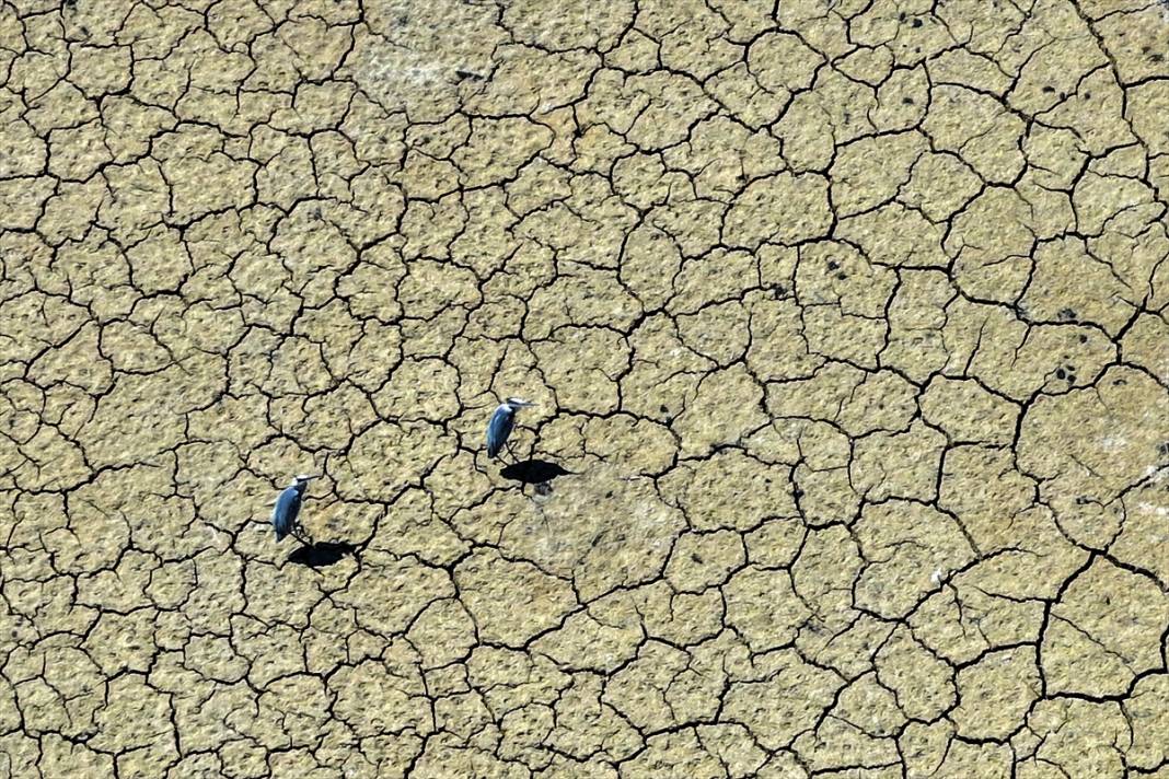 Rakamlar hiç bu kadar korkutmamıştı! Konya çölleşiyor 22